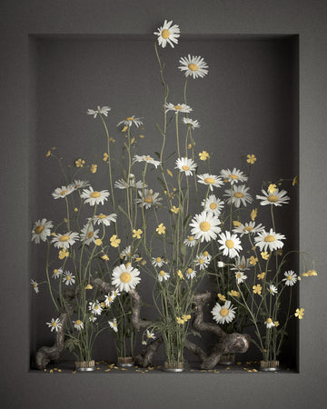 Marguerit