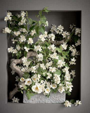 Uægte jasmin
